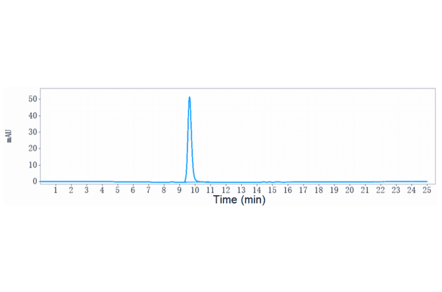 SEC-HPLC - Anti-IL-17A Antibody [Research Grade Biosimilar] - Low endotoxin, Azide free (A324080) - Antibodies.com