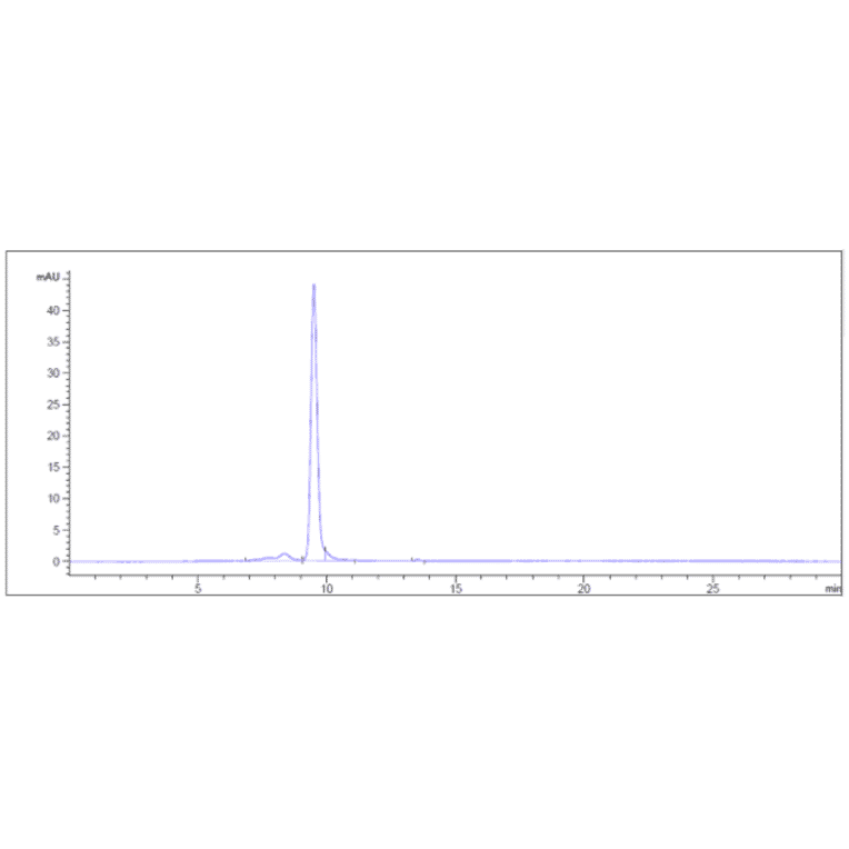 SEC-HPLC - Anti-IL-18 Antibody [GSK 1070806] - Low endotoxin, Azide free (A324084) - Antibodies.com