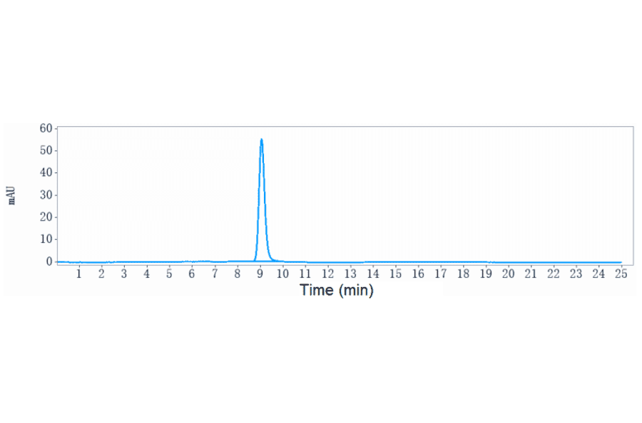 SEC-HPLC - Anti-IL-18 Antibody [ABT-325] - Low endotoxin, Azide free (A324085) - Antibodies.com