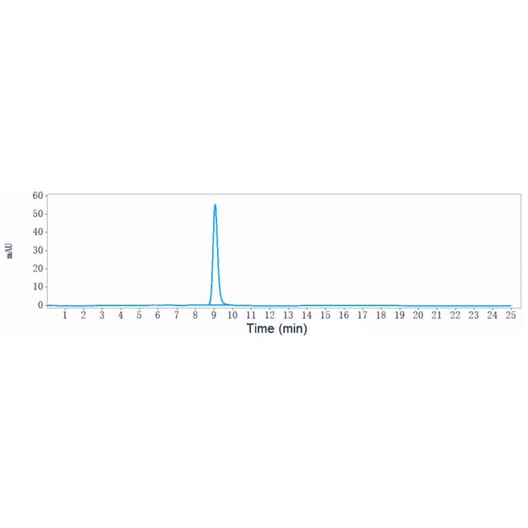 SEC-HPLC - Anti-IL-18 Antibody [ABT-325] - Low endotoxin, Azide free (A324085) - Antibodies.com