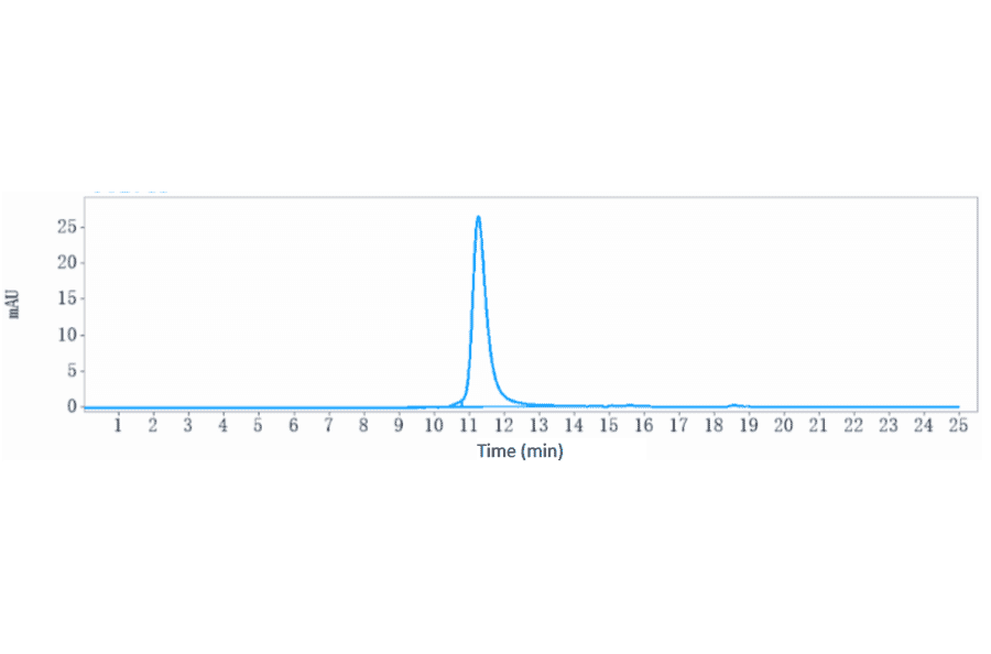 SEC-HPLC - Anti-IL-3RB Antibody [CSL311] - Low endotoxin, Azide free (A324093) - Antibodies.com