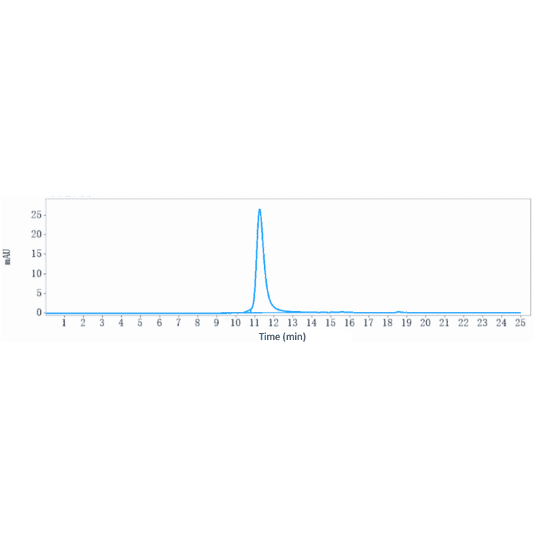 SEC-HPLC - Anti-IL-3RB Antibody [CSL311] - Low endotoxin, Azide free (A324093) - Antibodies.com