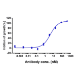 Function:Proliferation - Anti-IL-3RB Antibody [CSL311] - Low endotoxin, Azide free (A324093) - Antibodies.com