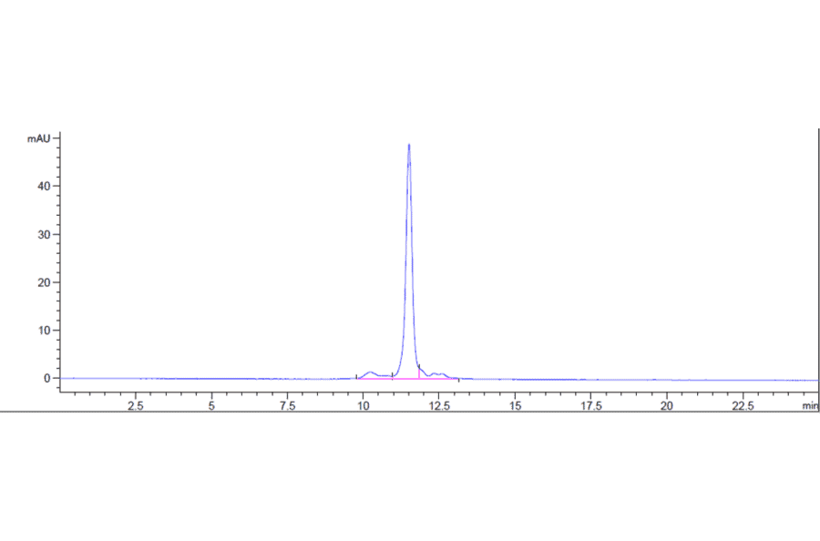 SEC-HPLC - Anti-IL-6 Antibody [Research Grade Biosimilar] - Low endotoxin, Azide free (A324096) - Antibodies.com