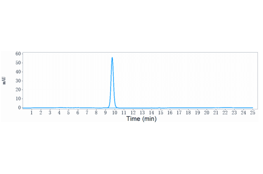 SEC-HPLC - Anti-Interferon alpha 1 Antibody [Research Grade Biosimilar] - Low endotoxin, Azide free (A324114) - Antibodies.com