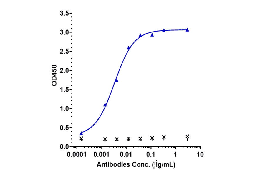 ELISA - Anti-Interferon gamma Antibody [AMG 811] - Low endotoxin, Azide free (A324115) - Antibodies.com