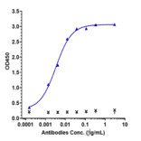 ELISA - Anti-Interferon gamma Antibody [AMG 811] - Low endotoxin, Azide free (A324115) - Antibodies.com