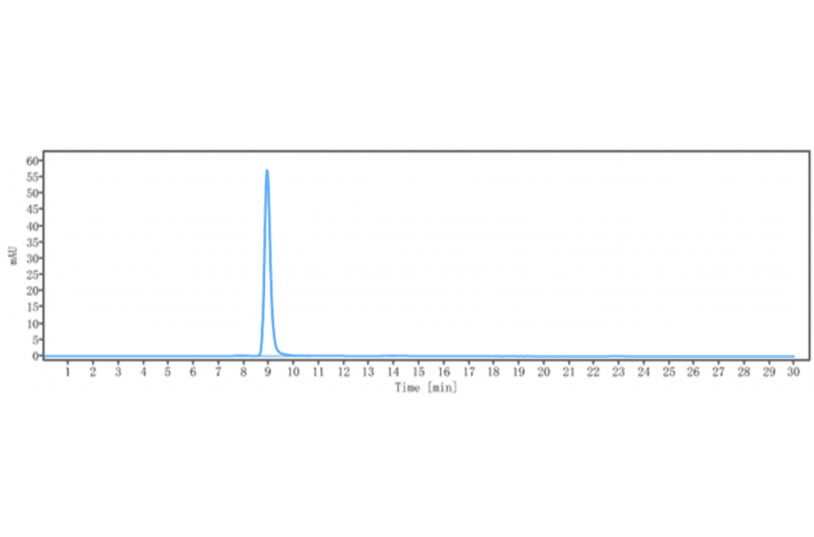 SEC-HPLC - Anti-IP10 Antibody [NI-0801] - Low endotoxin, Azide free (A324116) - Antibodies.com