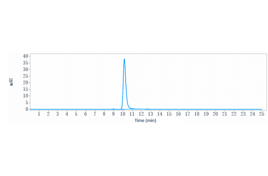 SEC-HPLC - Anti-K Cadherin/CDH6 Antibody [DS-6000a] - Low endotoxin, Azide free (A324118) - Antibodies.com
