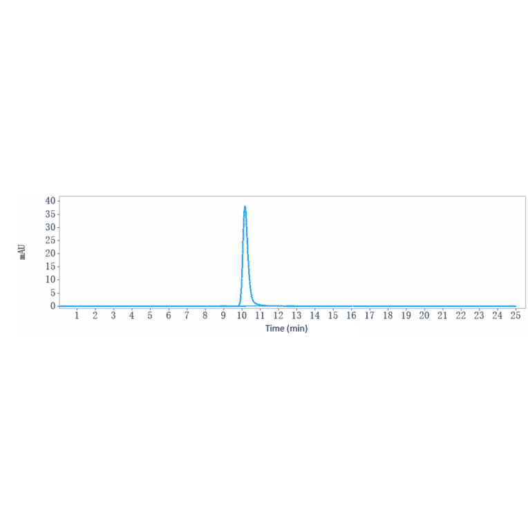 SEC-HPLC - Anti-K Cadherin/CDH6 Antibody [DS-6000a] - Low endotoxin, Azide free (A324118) - Antibodies.com