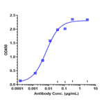 ELISA - Anti-K Cadherin/CDH6 Antibody [HKT288] - Low endotoxin, Azide free (A324119) - Antibodies.com