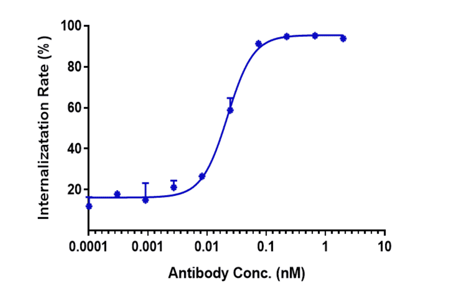 Function:Internalization - Anti-K Cadherin/CDH6 Antibody [HKT288] - Low endotoxin, Azide free (A324119) - Antibodies.com