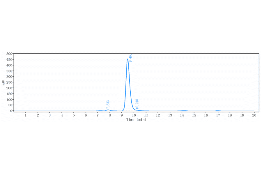 SEC-HPLC - Anti-KLB Antibody [RG7992] - Low endotoxin, Azide free (A324124) - Antibodies.com