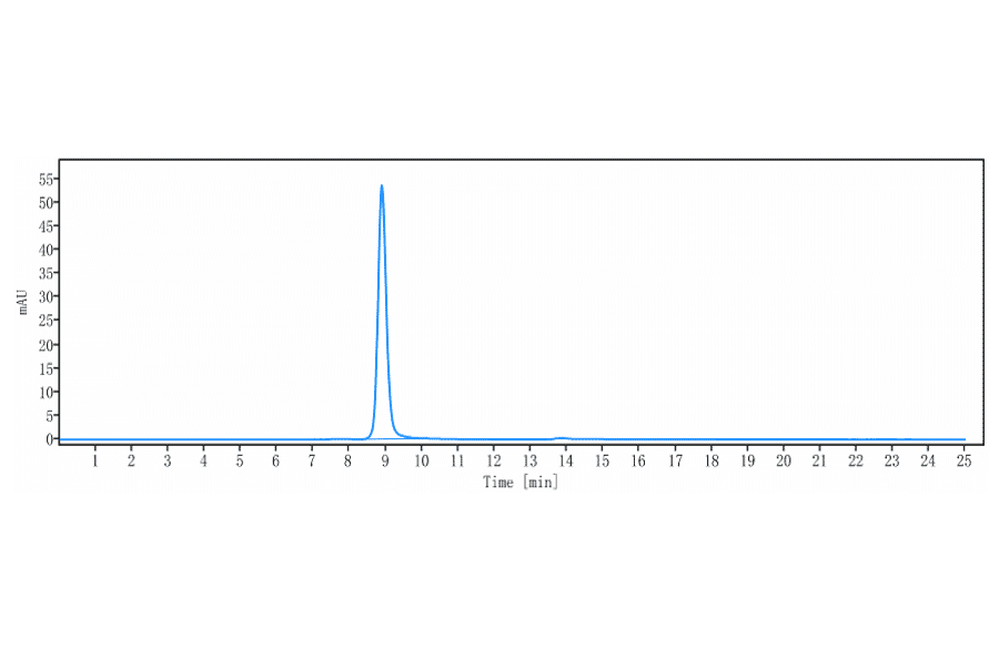 SEC-HPLC - Anti-LAMP1 Antibody [SAR428926] - Low endotoxin, Azide free (A324125) - Antibodies.com