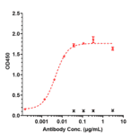 ELISA - Anti-LI Cadherin Antibody [10C12] - Low endotoxin, Azide free (A324128) - Antibodies.com