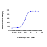 Function:Internalization - Anti-LI Cadherin Antibody [10C12] - Low endotoxin, Azide free (A324128) - Antibodies.com