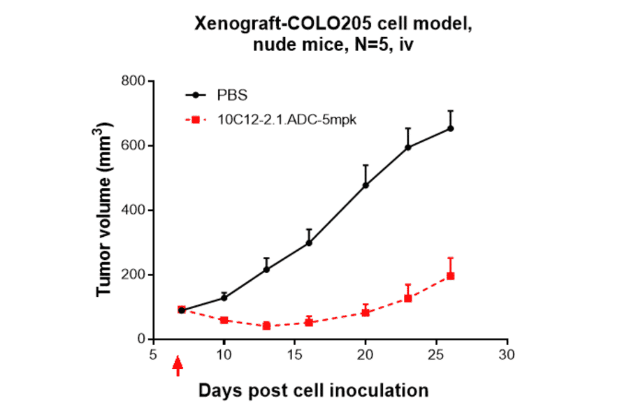 Research in vivo - Anti-LI Cadherin Antibody [10C12] - Low endotoxin, Azide free (A324128) - Antibodies.com