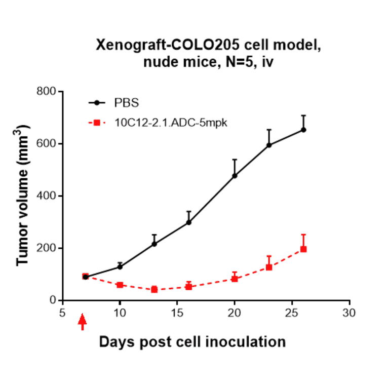 Research in vivo - Anti-LI Cadherin Antibody [10C12] - Low endotoxin, Azide free (A324128) - Antibodies.com