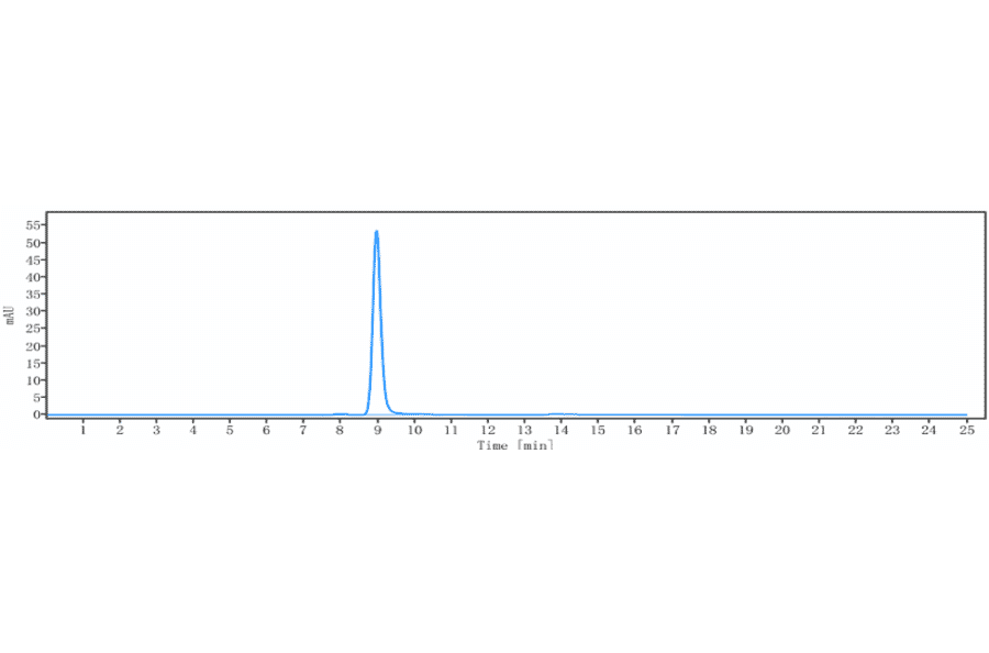 SEC-HPLC - Anti-Macrophage Inflammatory Protein 3 alpha Antibody [GSK3050002] - Low endotoxin, Azide free (A324135) - Antibodies.com