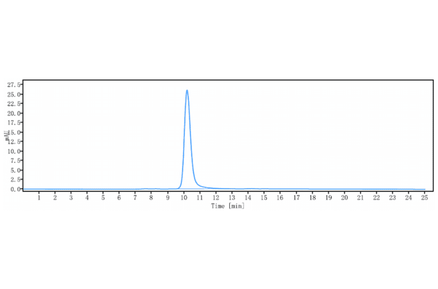SEC-HPLC - Anti-MAGE3 Antibody [Research Grade Biosimilar] - Low endotoxin, Azide free (A324136) - Antibodies.com