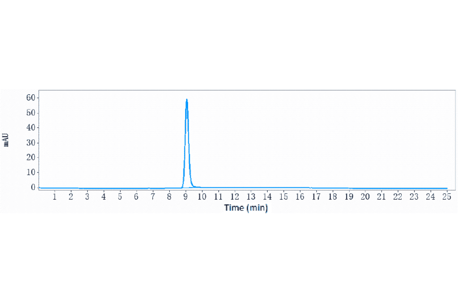 SEC-HPLC - Anti-MERTK Antibody [RGX-019] - Low endotoxin, Azide free (A324142) - Antibodies.com