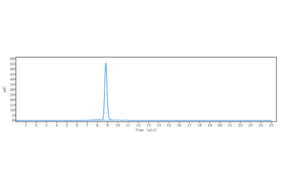 SEC-HPLC - Anti-Mesothelin Antibody [Research Grade Biosimilar] - Low endotoxin, Azide free (A324143) - Antibodies.com