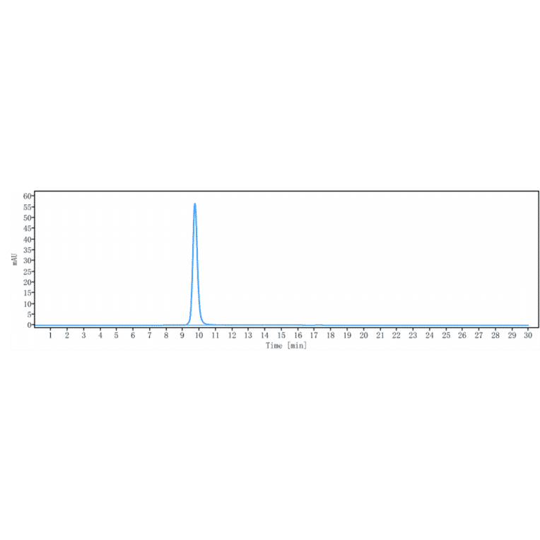 SEC-HPLC - Anti-Met (c-Met) Antibody [Research Grade Biosimilar] - Low endotoxin, Azide free (A324147) - Antibodies.com