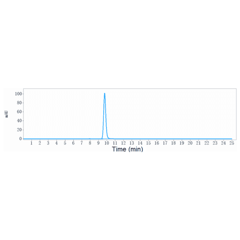 SEC-HPLC - Anti-MMP9 Antibody [Research Grade Biosimilar] - Low endotoxin, Azide free (A324151) - Antibodies.com