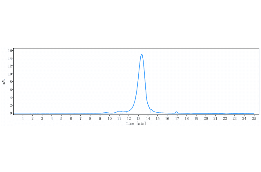 SEC-HPLC - Anti-MRC2/ENDO180 Antibody [Research Grade Biosimilar] - Low endotoxin, Azide free (A324154) - Antibodies.com