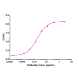 ELISA - Anti-MRC2/ENDO180 Antibody [Research Grade Biosimilar] - Low endotoxin, Azide free (A324154) - Antibodies.com