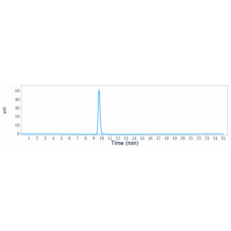 SEC-HPLC - Anti-MUC17 Antibody [Research Grade Biosimilar] - Low endotoxin, Azide free (A324158) - Antibodies.com