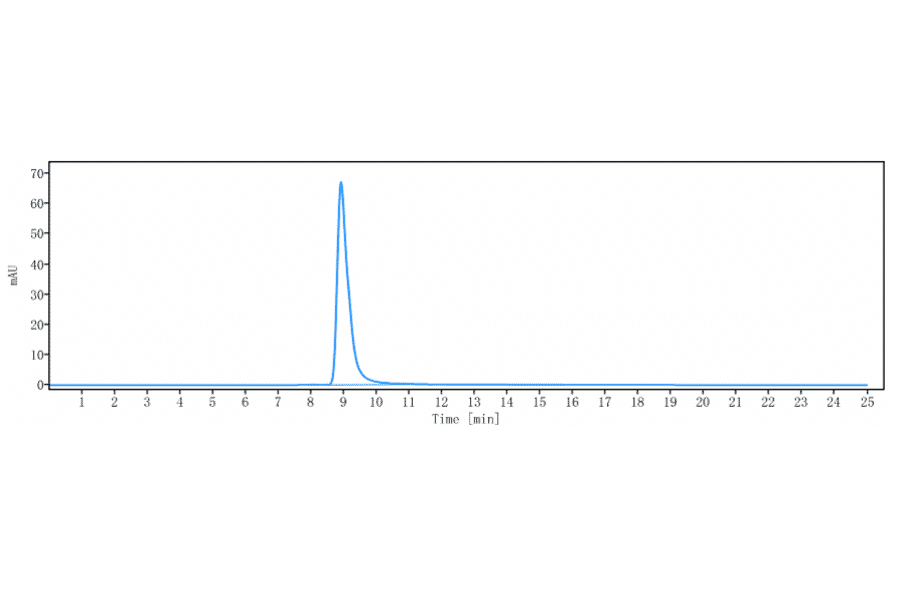 SEC-HPLC - Anti-MUSK Antibody [Research Grade Biosimilar] - Low endotoxin, Azide free (A324159) - Antibodies.com