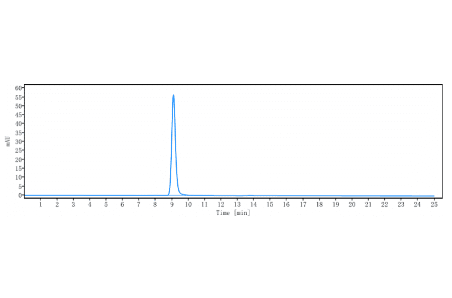 SEC-HPLC - Anti-Nogo Receptor Antibody [Research Grade Biosimilar] - Low endotoxin, Azide free (A324164) - Antibodies.com