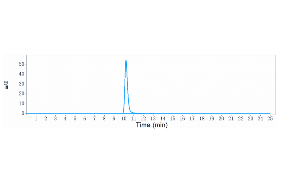 SEC-HPLC - Anti-P Cadherin Antibody [PF-03732010] - Low endotoxin, Azide free (A324171) - Antibodies.com