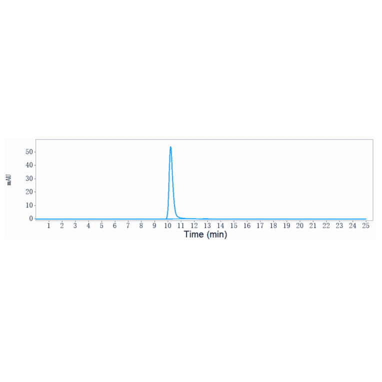 SEC-HPLC - Anti-P Cadherin Antibody [PF-03732010] - Low endotoxin, Azide free (A324171) - Antibodies.com