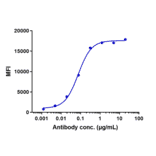 FACS - Anti-P Cadherin Antibody [PF-03732010] - Low endotoxin, Azide free (A324171) - Antibodies.com