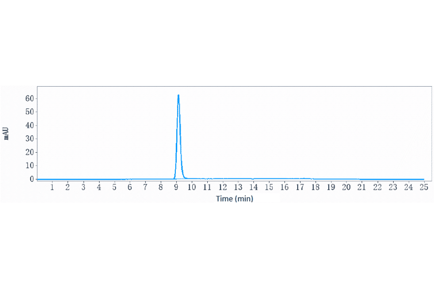 SEC-HPLC - Anti-PACAP-38 Antibody [Research Grade Biosimilar] - Low endotoxin, Azide free (A324172) - Antibodies.com