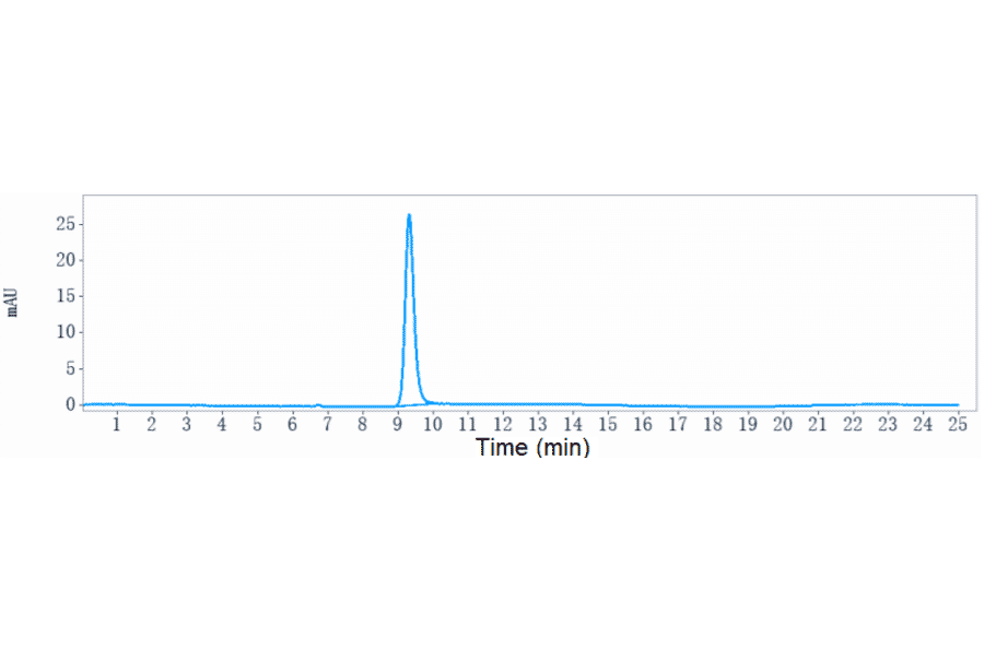 SEC-HPLC - Anti-PAI1 Antibody [Research Grade Biosimilar] - Low endotoxin, Azide free (A324173) - Antibodies.com