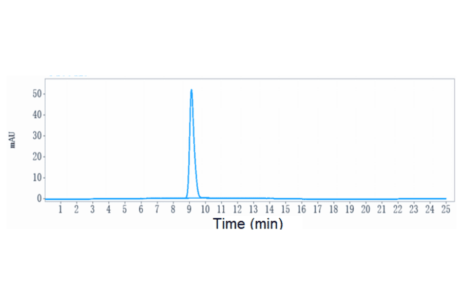 SEC-HPLC - Anti-PD1 Antibody [Research Grade Biosimilar] - Low endotoxin, Azide free (A324182) - Antibodies.com