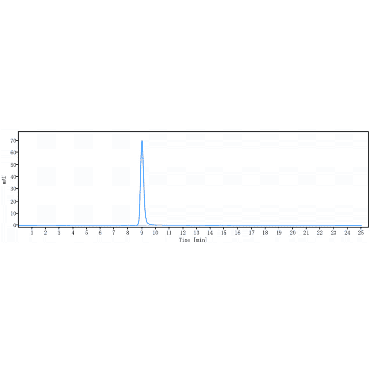 SEC-HPLC - Anti-PDGF B Antibody [MOR-8457] - Low endotoxin, Azide free (A324183) - Antibodies.com