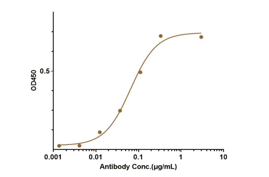 ELISA - Anti-PDGF B Antibody [MOR-8457] - Low endotoxin, Azide free (A324183) - Antibodies.com