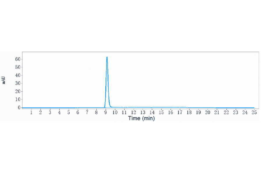 SEC-HPLC - Anti-PK-R1 Antibody [Research Grade Biosimilar] - Low endotoxin, Azide free (A324189) - Antibodies.com