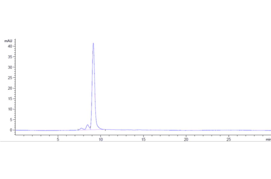 SEC-HPLC - Anti-PRAME Antibody [Research Grade Biosimilar] - Low endotoxin, Azide free (A324195) - Antibodies.com