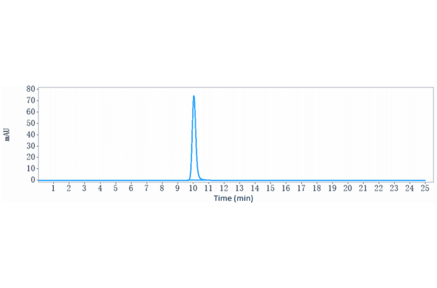 SEC-HPLC - Anti-PVRIG/CD112R Antibody [GSK4381562] - Low endotoxin, Azide free (A324200) - Antibodies.com
