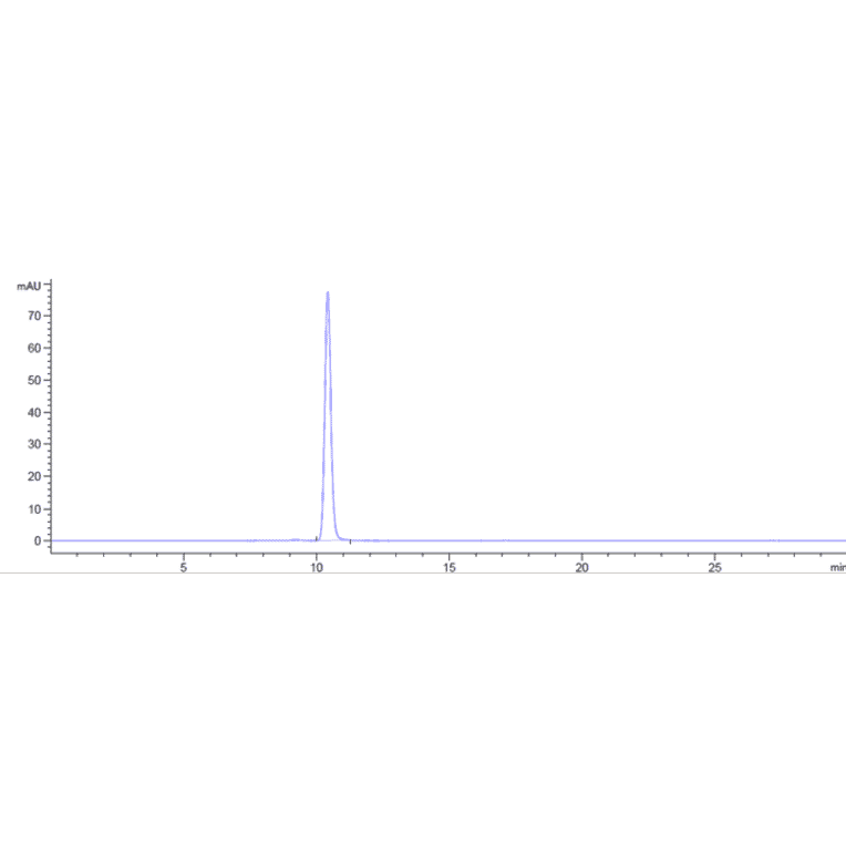 SEC-HPLC - Anti-RAGE Antibody [XT-M4] - Low endotoxin, Azide free (A324201) - Antibodies.com