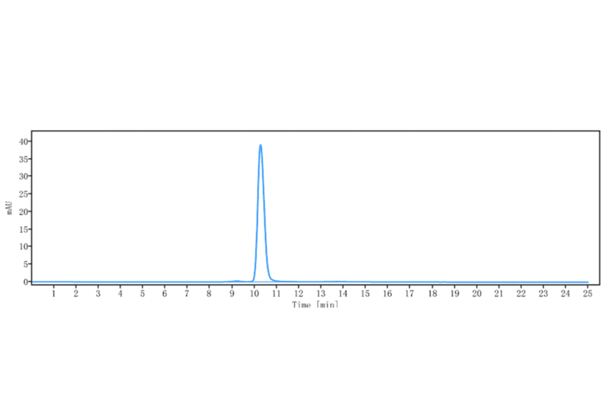 SEC-HPLC - Anti-RAMP3 Antibody [Research Grade Biosimilar] - Low endotoxin, Azide free (A324202) - Antibodies.com