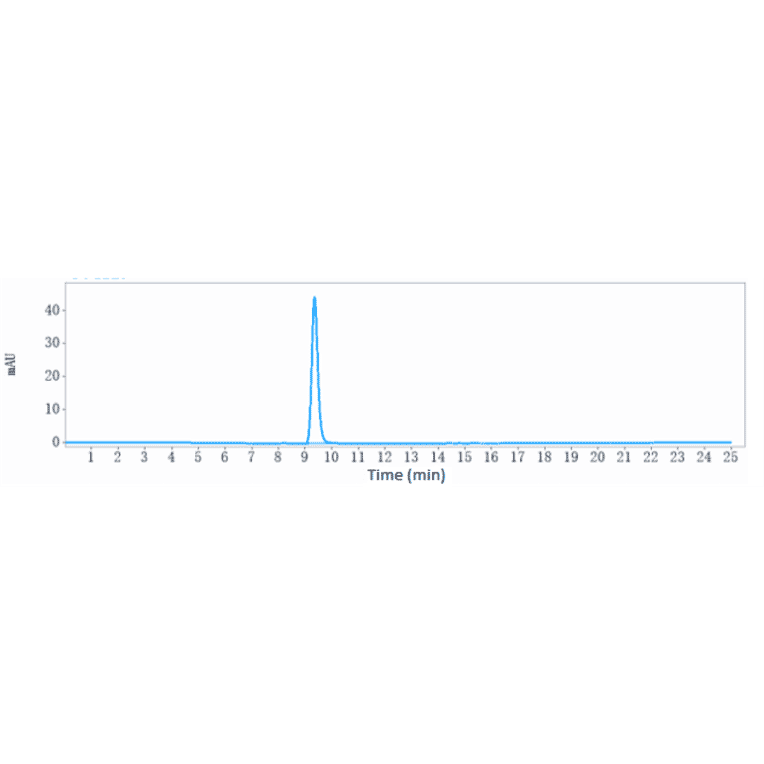 SEC-HPLC - Anti-RANTES Antibody [VLST-002] - Low endotoxin, Azide free (A324204) - Antibodies.com