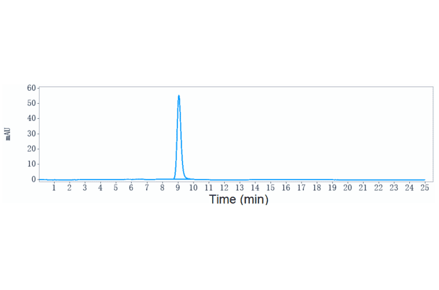 SEC-HPLC - Anti-RhD Antibody [Research Grade Biosimilar] - Low endotoxin, Azide free (A324207) - Antibodies.com