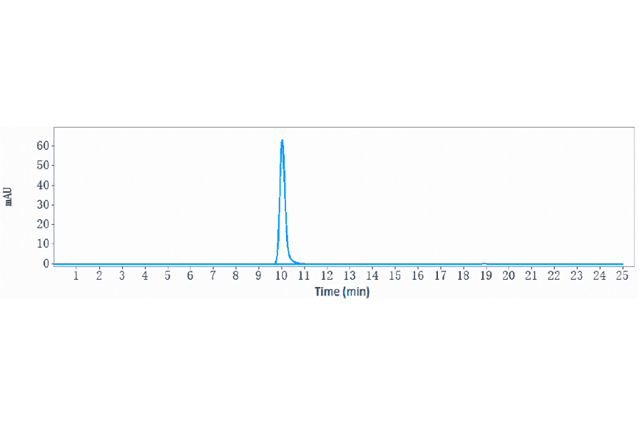 SEC-HPLC - Anti-Robo1 Antibody [Research Grade Biosimilar] - Low endotoxin, Azide free (A324208) - Antibodies.com