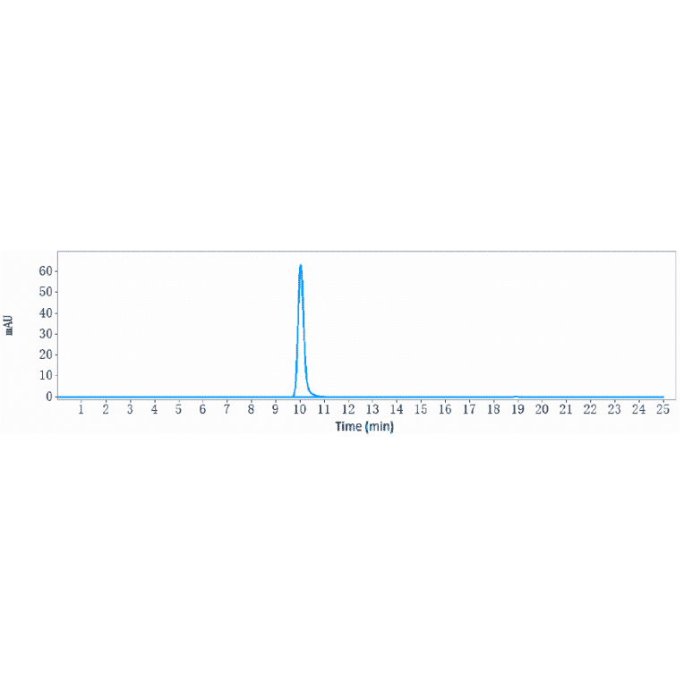SEC-HPLC - Anti-Robo1 Antibody [Research Grade Biosimilar] - Low endotoxin, Azide free (A324208) - Antibodies.com